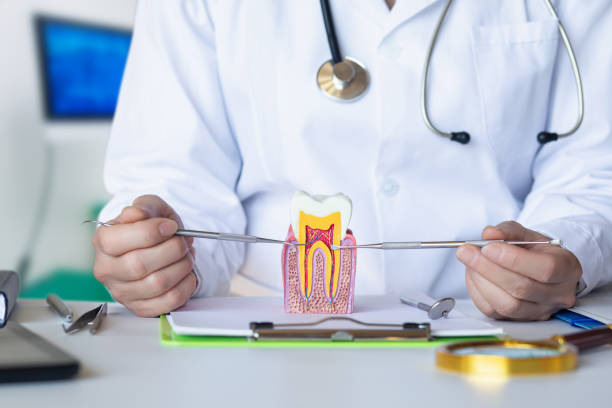 Best Orthodontic Emergency Dentist in Warrensburg, MO